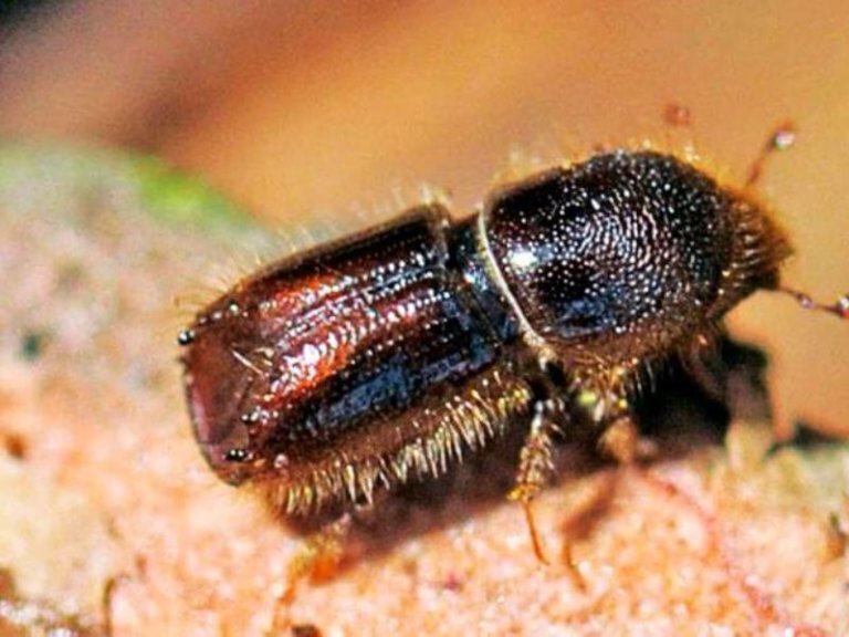 уссурийский полиграф/Фото: moyaokruga.ru