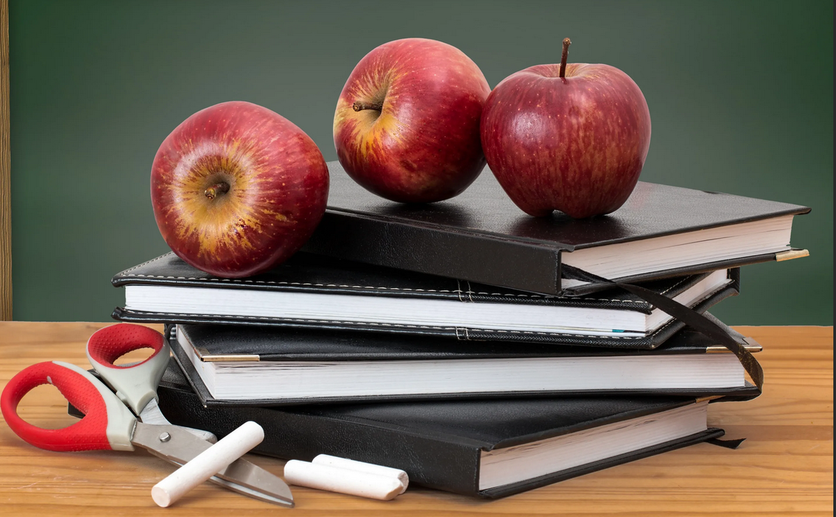 Фото с сервера Яндекс. Картинки