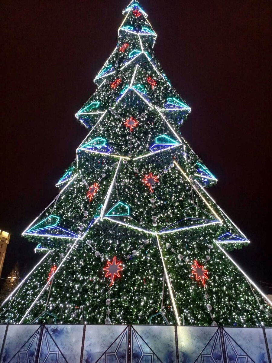 Фото автора.