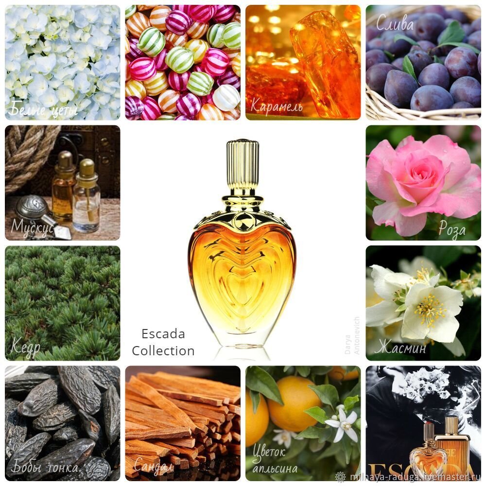 Ингредиенты для изготовления духов. Материал взят из свободного источника.