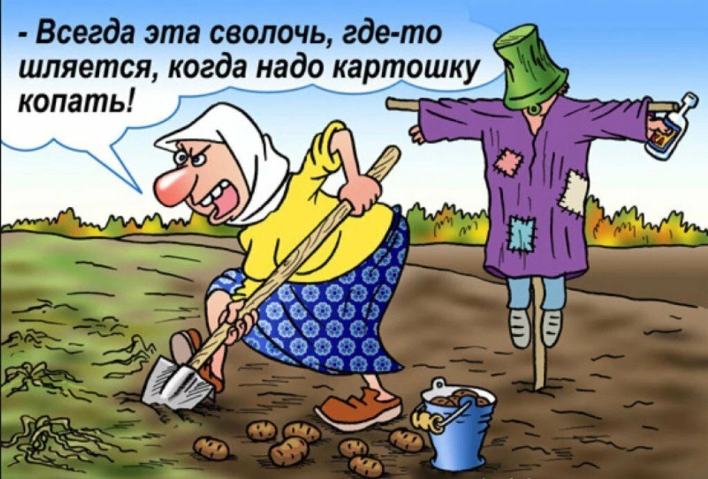 Грядки зовут прикольные картинки