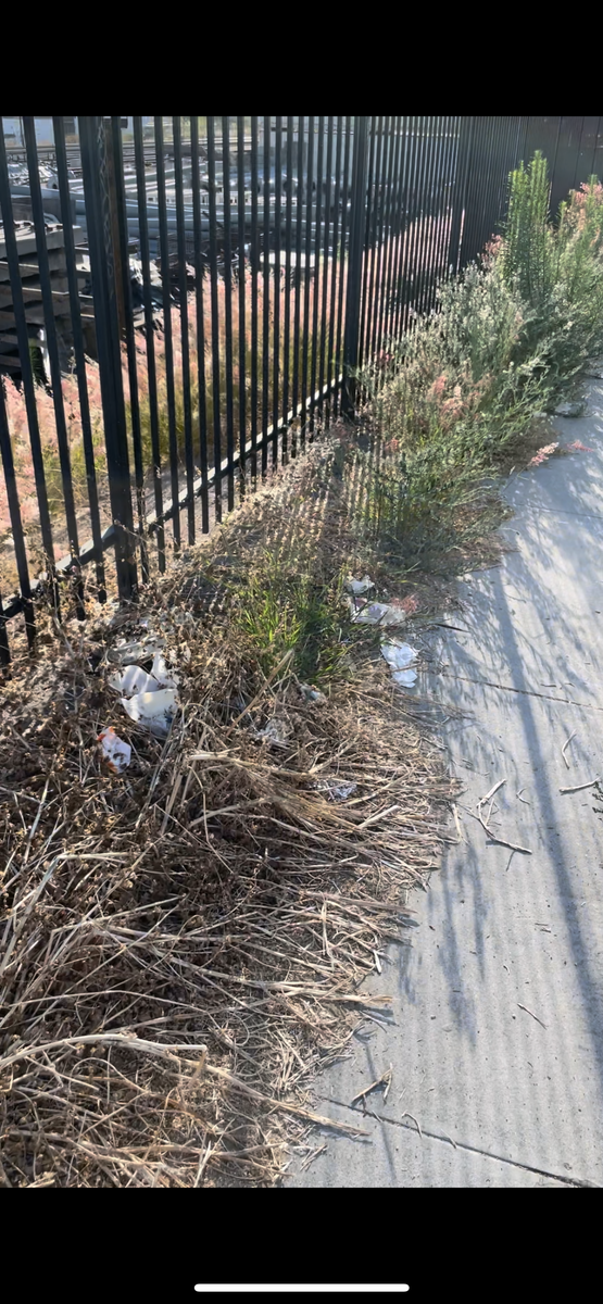 Обычная обстановка рядом с домом 