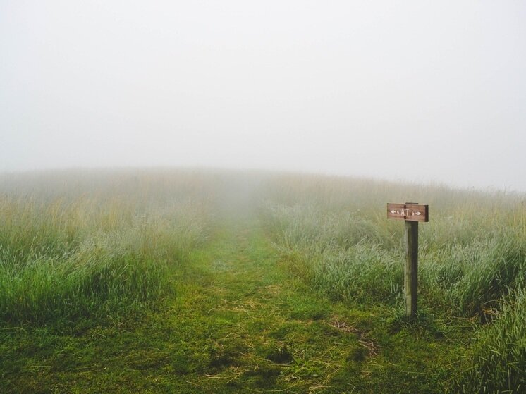     займитесь своими финансами и здоровьем. фото: pxhere