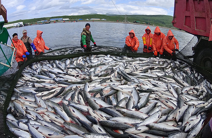    Игорь Буймистров/ТАСС