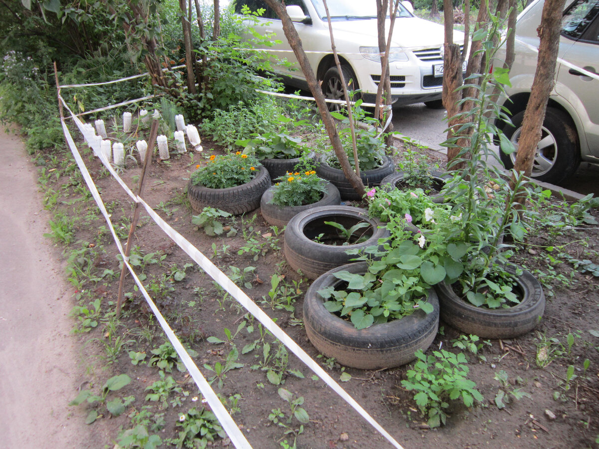 Ну что тут скажешь