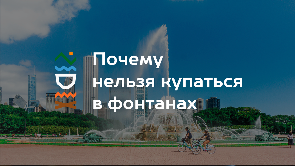 фото Yandex
