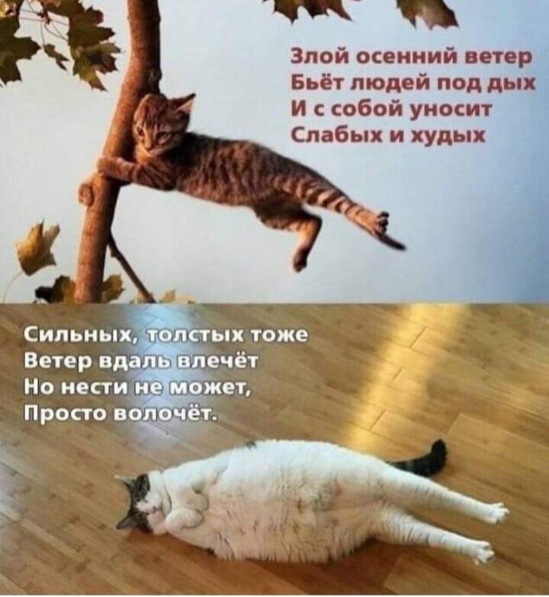      ,  ,     -  .   :    .-2