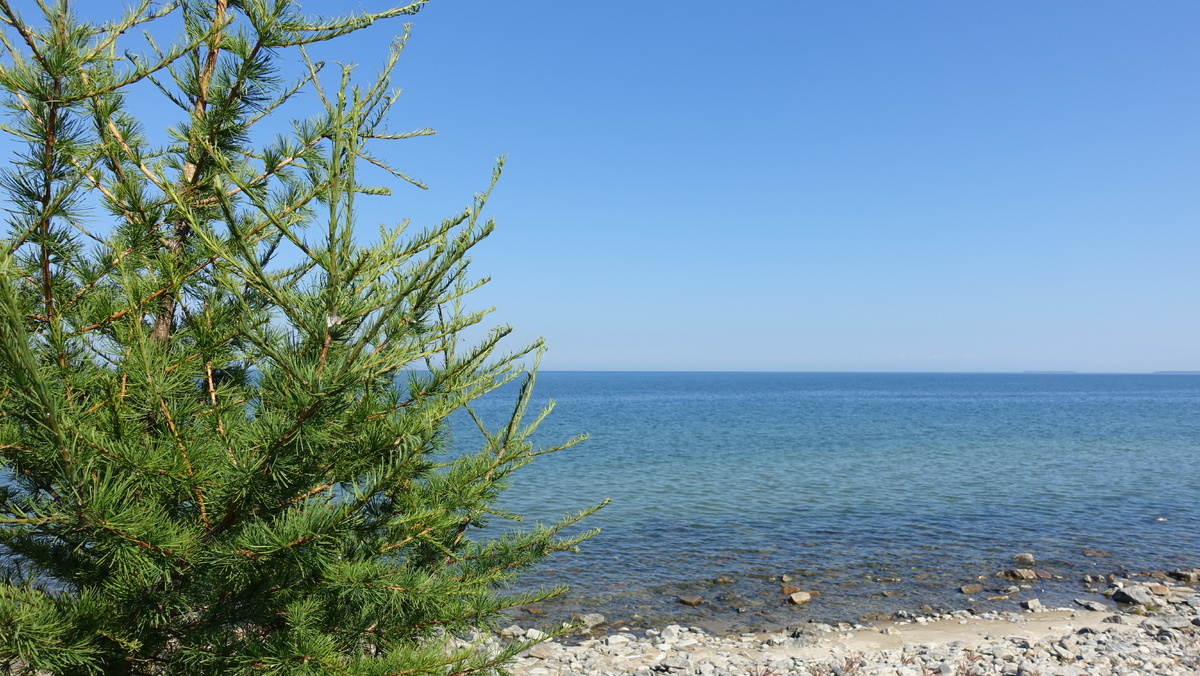 Берег Байкала, село Горячинск, Бурятия, 2017. Остальные фото сделаны там же.