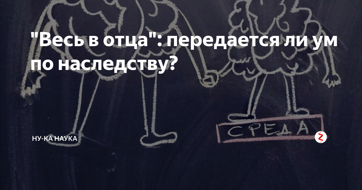 Интеллект передается по наследству. Передается ли ум по наследству. Передается ли депрессия по наследству. Передается ли быть ЛЕВШОЙ по наследству. Как передаётся ум по наследству ребёнку.