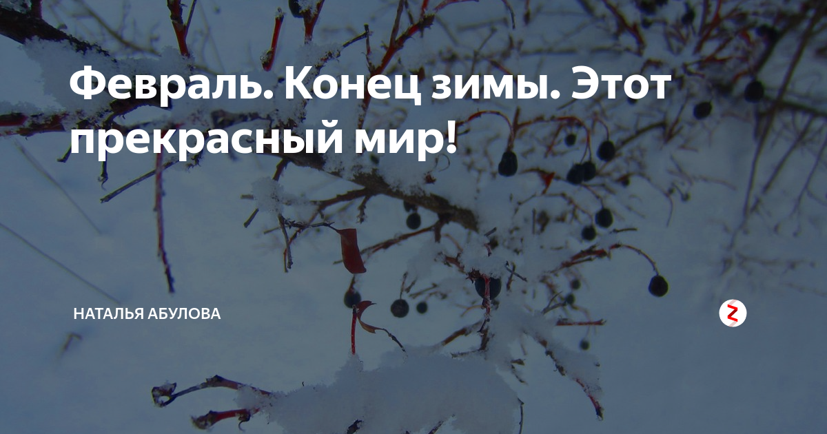 На дворе февраль. На дворе февраль. Вьюги да метели. Зимние пейзажи заиграевского района бурятии фото. Зимняя красота.