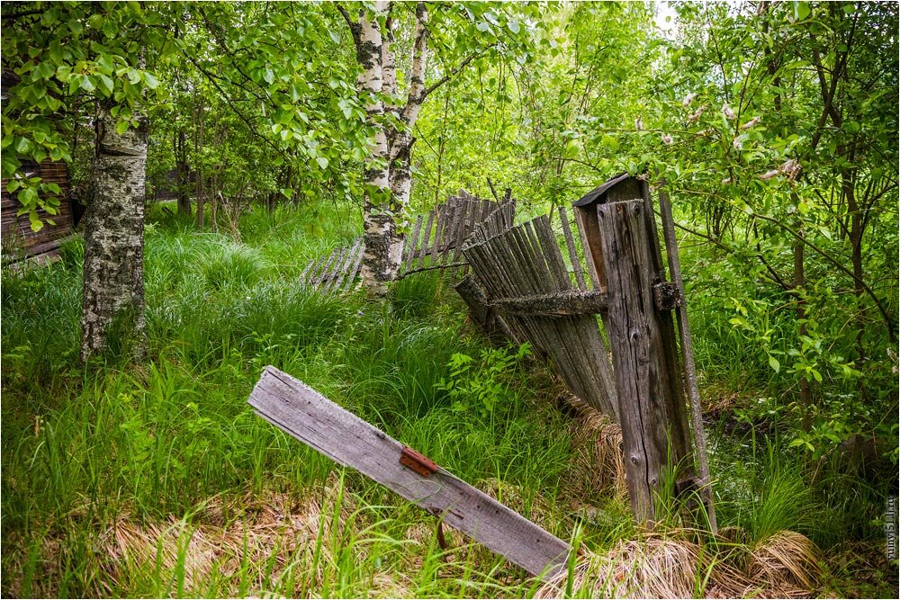 Заброшенная колония совза. Северная железная дорога — перегоны. Зеленник ужд. Села железное. Заброшенный поселок совза.