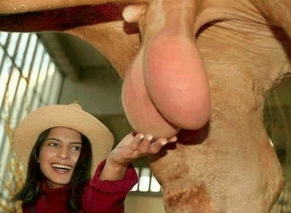 Колокольчики собственной персоной - справа. Любитель трогать колокольчики - слева.