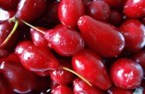 Хорошим вариантом будет вырастить кизил обыкновенный, ведь он растет на земле, которая богата известью. Растение не любит кислые почвы, но может расти и на них.