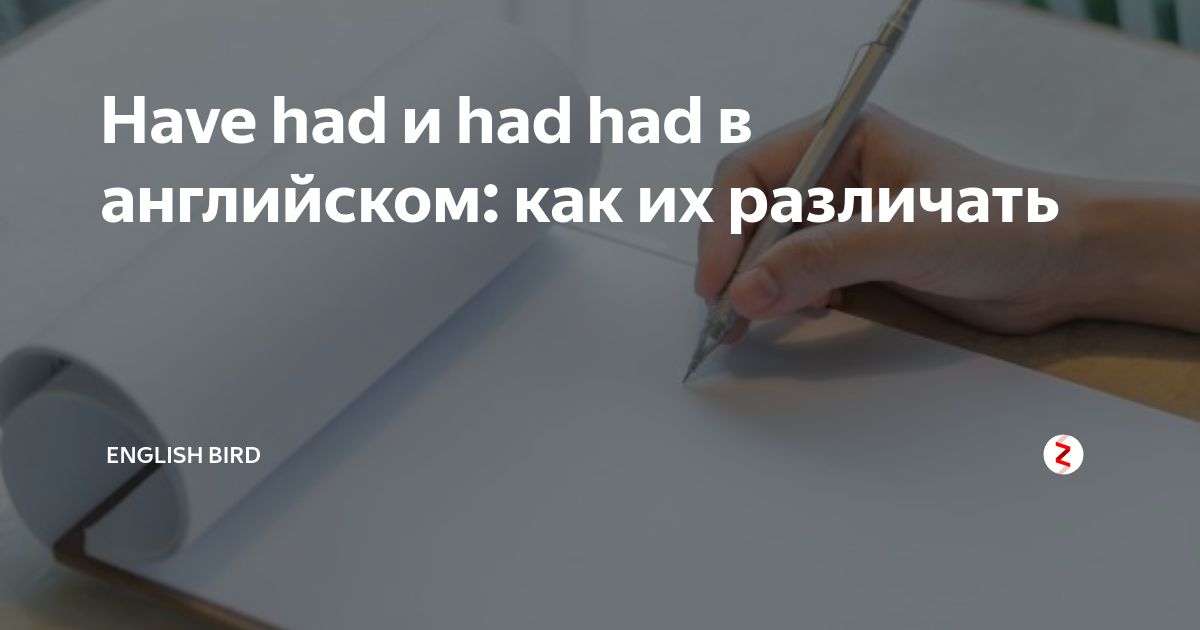Have had и had had в английском: как их различать | English Bird | Дзен