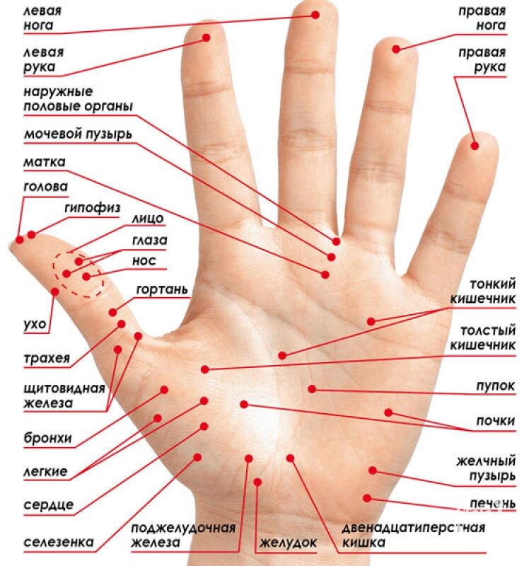 Фото: iStock.com/Gettyimages.ru