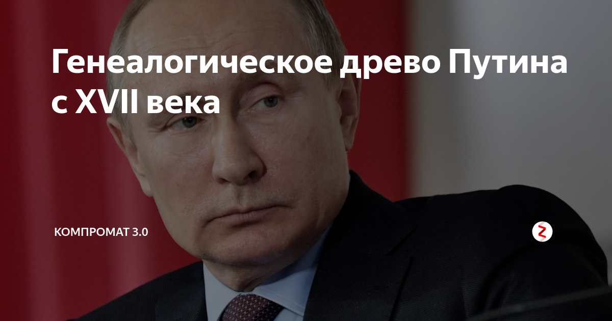 Генеалогическое древо Путина с XVII века | Компромат 3.0 | Дзен