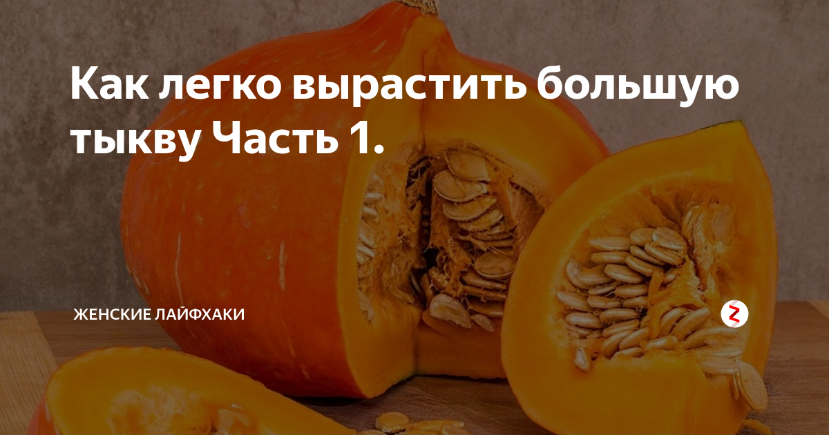 Можно есть тыкву при сахарном диабете 2. Тыква для диабетиков. Тыквенный сок для диабетиков. Можно есть тыкву при сахарном диабете. Печеная тыква для диабетиков.