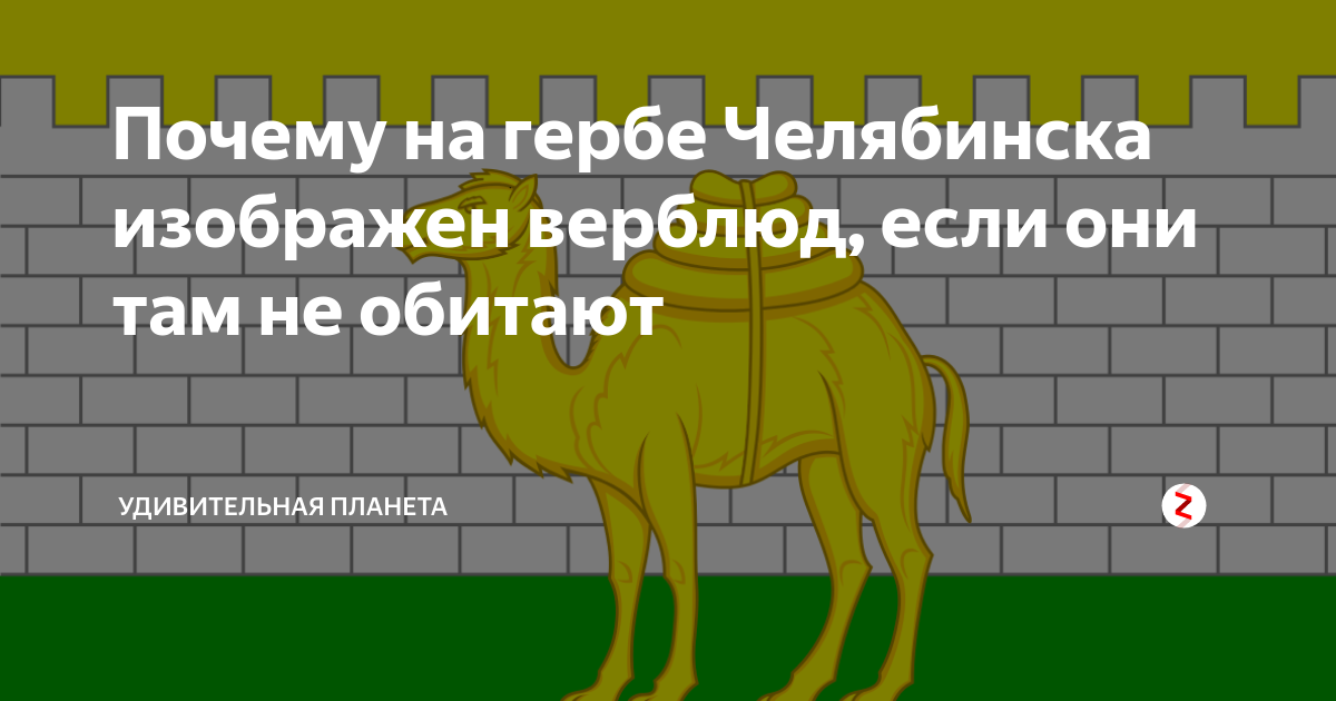 Челябинский герб почему верблюд. Почему на гербе Челябинска изображен верблюд. Герб Челябинска почему верблюд. Почему герб верблюда на гербе Челябинска. Герб Челябинска фото почему верблюд.