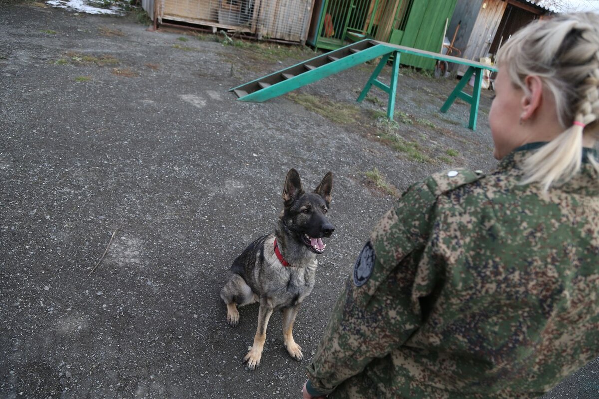 Динамика-Микки и ее хозяйка Екатерина