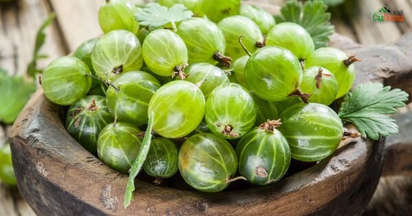 фото: depositphotos.com