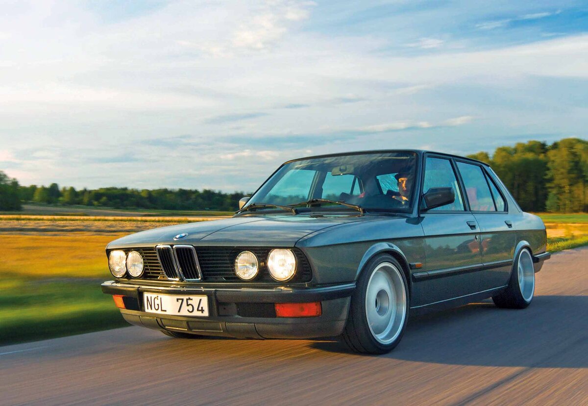 BMW e24 акула