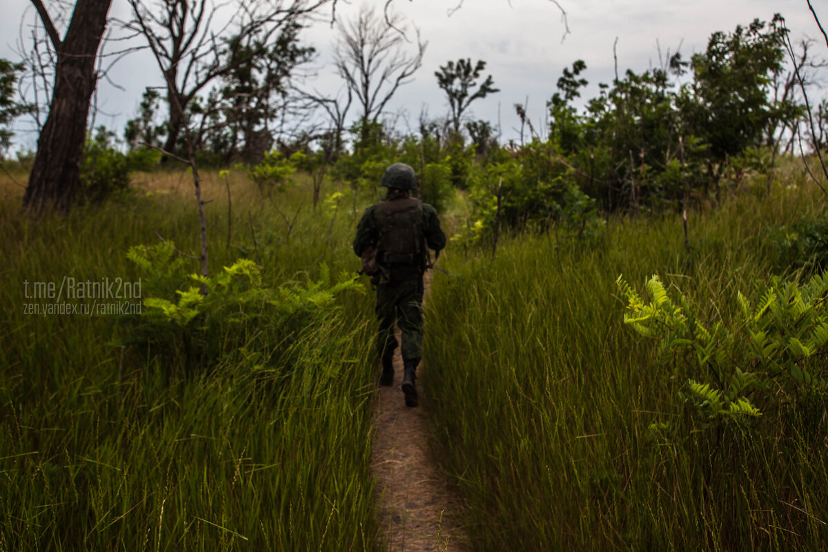 Из-за плотного огня со стороны ВСУ растительность не может подняться выше 2-3 метров. Выше этого уровня только голые сучья. Везде колючая акация. Рукава у бойцов опущены.