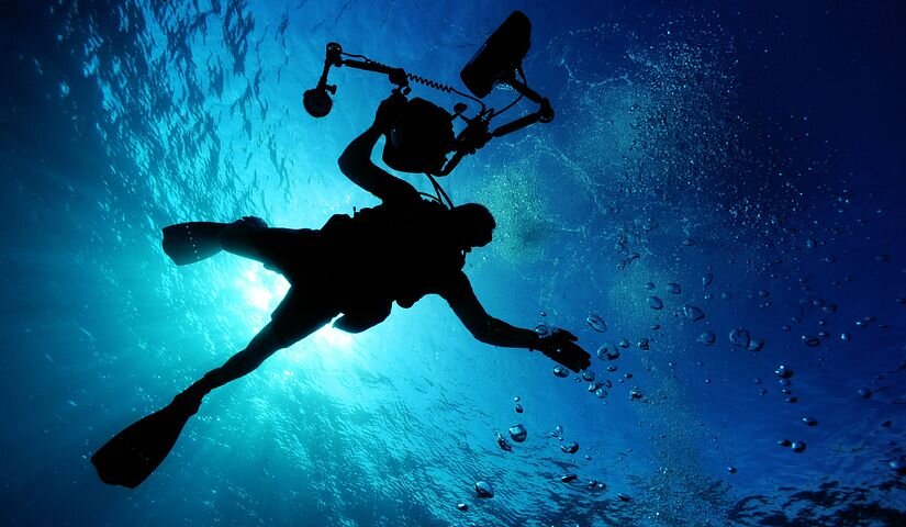 Источник фото: pixabay.com