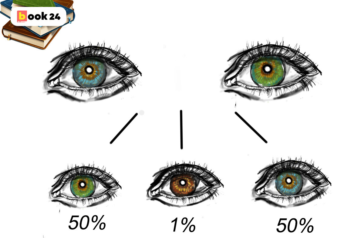 Как узнать какой цвет глаз. Цвет глаз схема. Схема цвета глаз родителей и детей. Доминантный цвет глаз. Доминантность цветов глаз.