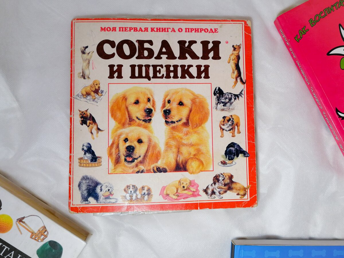 Моя самая первая книжка про собак. До сих пор жива - храню.