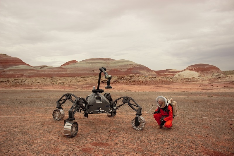 Источник: Из личного архива Анастасии Степановой