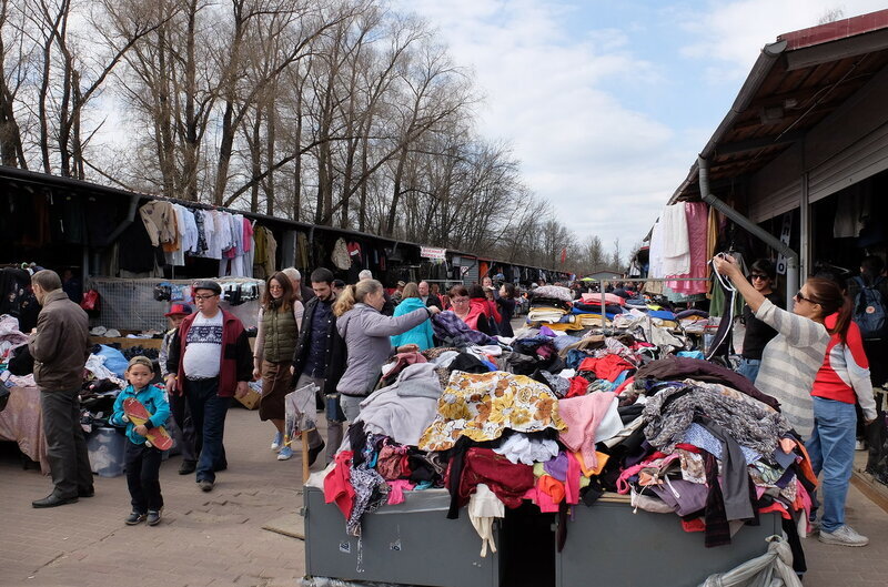 фото в открытом доступе