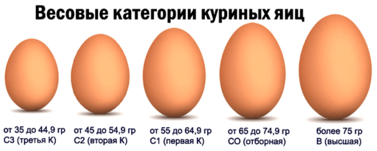 Яйца первой и второй категории