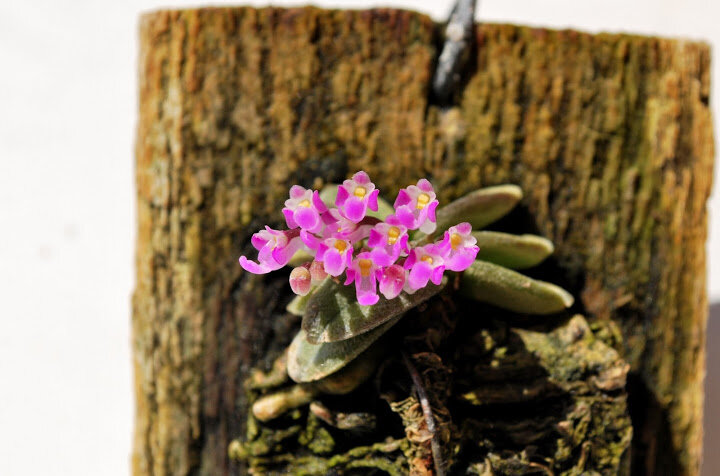 фото из сети