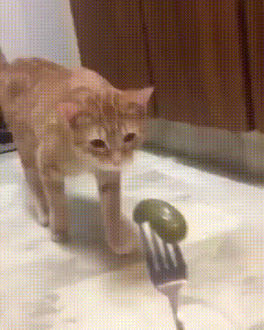 Огурчик будешь?