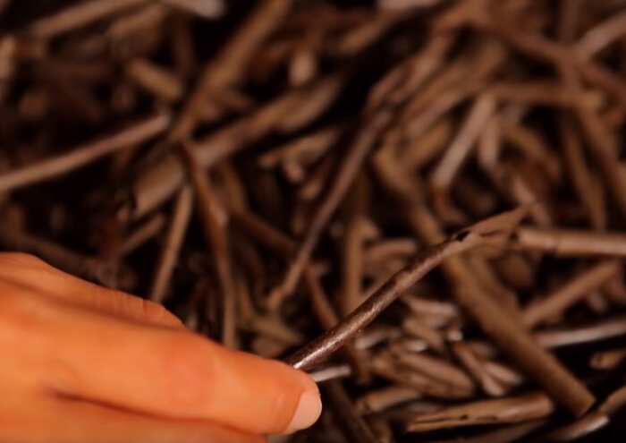 Закуска из земли - ампо.