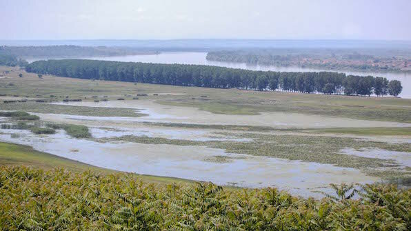 Часть 2. Типы рек