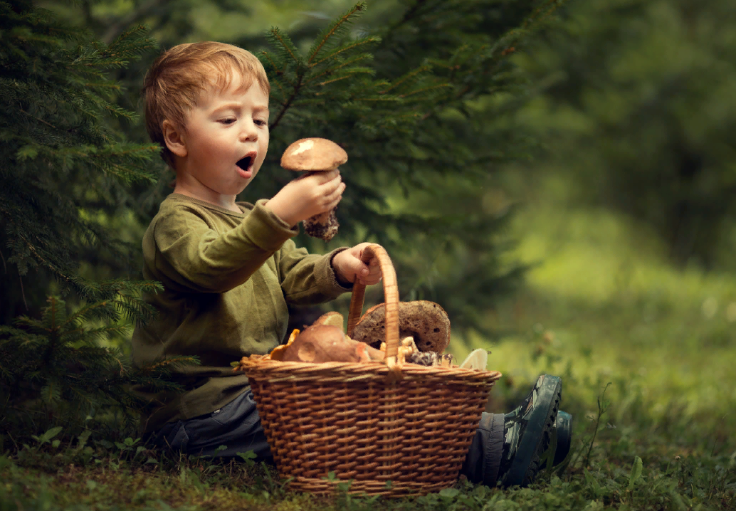 Gather mushrooms. Акилы дозоры 27 июля. Мальчик в лесу с корзинкой. Мальчик с корзиной грибов. Мальчик с грибами