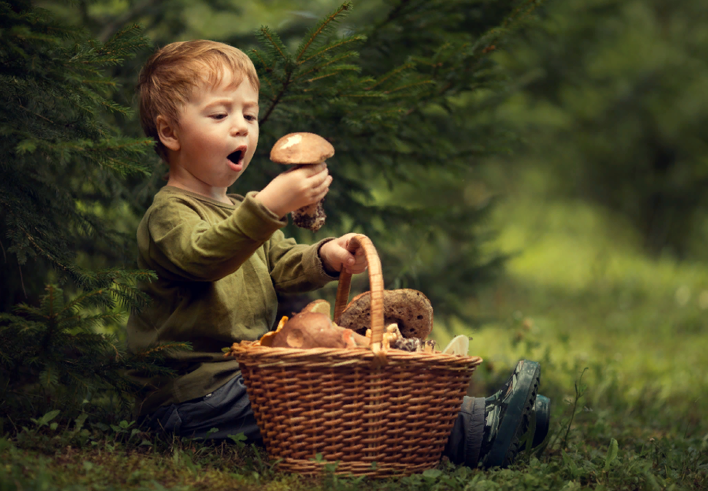 Gather mushrooms. Акилы дозоры 27 июля. Мальчик в лесу с корзинкой. Мальчик с корзиной грибов. Мальчик с грибами.