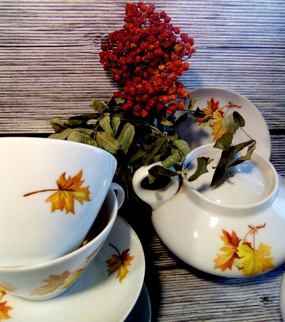 фото сервиза мои