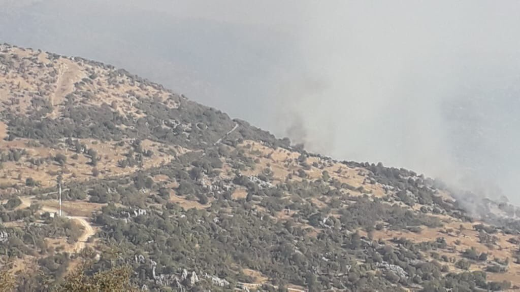 На протяжении нескольких дней израильская артиллерия вела днем и ночью превентивные обстрелы пограничной полосы возле оккупированного района Шебаа, что вызвало в ряде мест лесные пожары.