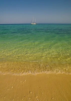 Между берегом буйного Красного Моря И Суданским таинственным лесом видна,
Разметавшись среди четырех плоскогорий,
С отдыхающей львицею схожа, страна.

Север — это болота без дна и без края,
Змеи черные подступы к ним стерегут,
Их сестер-лихорадок зловещая стая,
Желтолицая, здесь обрела свой приют.

А над ними насупились мрачные горы,
Вековая обитель разбоя, Тигрэ,
Где оскалены бездны, взъерошены боры
И вершины стоят в снеговом серебре.

В плодоносной Амхаре и сеют и косят,
Зебры любят мешаться в домашний табун,
И под вечер прохладные ветры разносят
Звуки песен гортанных и рокота струн.

Абиссинец поет, и рыдает багана,
Воскрешая минувшее, полное чар;
Было время, когда перед озером Тана
Королевской столицей взносился Гондар.

Под платанами спорил о Боге ученый,
Вдруг пленяя толпу благозвучным стихом,
Живописцы писали царя Соломона
Меж царицею Савской и ласковым львом.

Но, поверив Шоанской изысканной лести,
Из старинной отчизны поэтов и роз
Мудрый слон Абиссинии, негус Негести,
В каменистую Шоа свой трон перенес.

В Шоа воины хитры, жестоки и грубы,
Курят трубки и пьют опьяняющий тэдж,
Любят слушать одни барабаны да трубы,
Мазать маслом ружье, да оттачивать меч.

Харраритов, Галла, Сомали, Данакилей,
Людоедов и карликов в чаще лесов
Своему Менелику они покорили,
Устелили дворец его шкурами львов.

И, смотря на потоки у горных подножий,
На дубы и полдневных лучей торжество,
Европеец дивится, как странно похожи
Друг на друга народ и отчизна его.

II

Колдовская страна! Ты на дне котловины
Задыхаешься, льется огонь с высоты,
Над тобою разносится крик ястребиный,
Но в сияньи заметишь ли ястреба ты?

Пальмы, кактусы, в рост человеческий травы,
Слишком много здесь этой паленой травы…
Осторожнее! В ней притаились удавы,
Притаились пантеры и рыжие львы.

По обрывам и кручам дорогой тяжелой
Поднимись, и нежданно увидишь вокруг
Сикоморы и розы, веселые села
И зеленый, народом пестреющий, луг.

Там колдун совершает привычное чудо,
Тут, покорна напеву, танцует змея,
Кто сто талеров взял за больного верблюда,
Сев на камне в тени, разбирает судья.

Поднимись еще выше! Какая прохлада!
Точно позднею осенью пусты поля,
На рассвете ручьи замерзают, и стадо
Собирается кучей под кровлей жилья.

Павианы рычат средь кустов молочая,
Перепачкавшись в белом и липком соку,
Мчатся всадники, длинные копья бросая,
Из винтовок стреляя на полном скаку.

Выше только утесы, нагие стремнины,
Где кочуют ветра, да ликуют орлы,
Человек не взбирался туда, и вершины
Под тропическим солнцем от снега белы.

И повсюду, вверху и внизу, караваны
Видят солнце и пьют неоглядный простор,
Уходя в до сих пор неизвестные страны
За слоновою костью и золотом гор.

Как любил я бродить по таким же дорогам,
Видеть вечером звезды, как крупный горох,
Выбегать на холмы за козлом длиннорогим,
На ночлег зарываться в седеющий мох!

Есть музей этнографии в городе этом
Над широкой, как Нил, многоводной Невой,
В час, когда я устану быть только поэтом,
Ничего не найду я желанней его.

Я хожу туда трогать дикарские вещи,
Что когда-то я сам издалека привез,
Чуять запах их странный, родной и зловещий,
Запах ладана, шерсти звериной и роз.

И я вижу, как знойное солнце пылает,
Леопард, изогнувшись, ползет на врага,
И как в хижине дымной меня поджидает
Для веселой охоты мой старый слуга