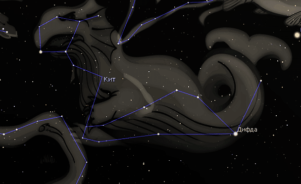 Как выглядит созвездие кит Cetus whale constellation at starry night sky Vector Image