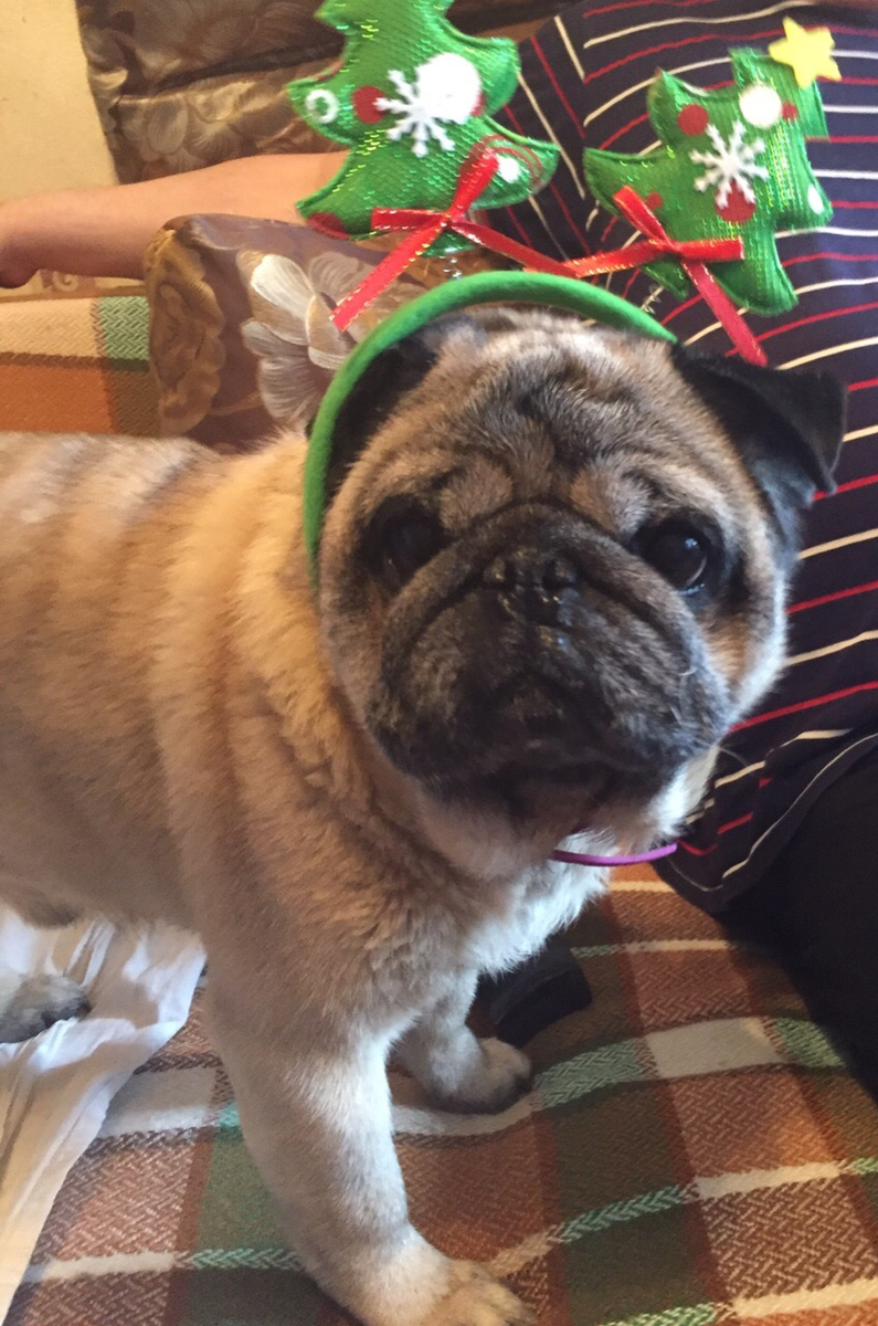 Это он уже старенький, но всё так же молод и горяч!