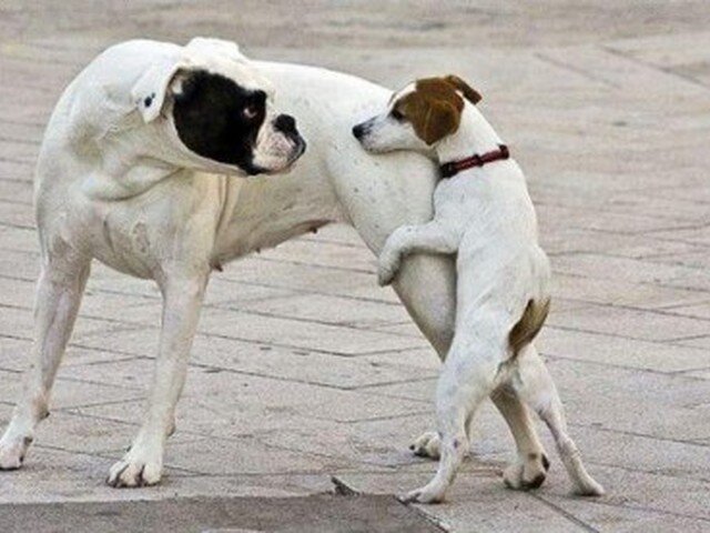 Ты обалдел?!