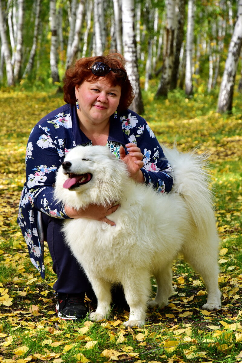 Сколько клещей принесла собака за прогулку. И что, теперь больше никуда не  ходить? | Стеклянная сказка | Дзен