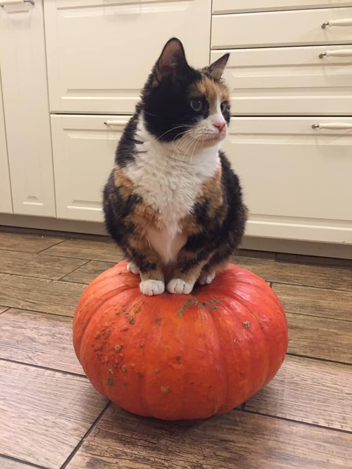 Личное фото