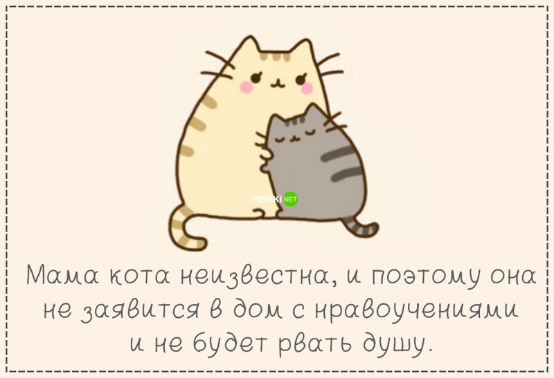 Как стать котом. Причины быть котом. Идеи для личного дневника котики. Идеи для ЛД кот. Личный дневник идеи котики.