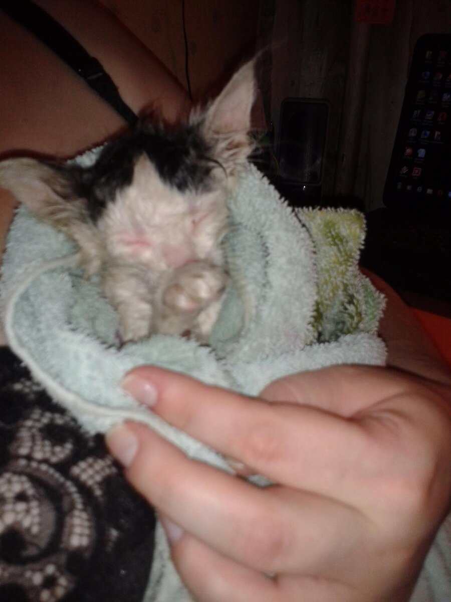 У мамы на руках тепло и хорошо