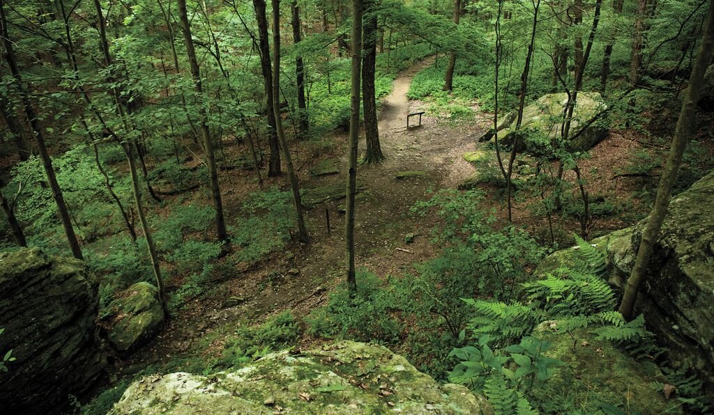 Место боя - Лощина Жюмонвилля (Jumonville Glen)