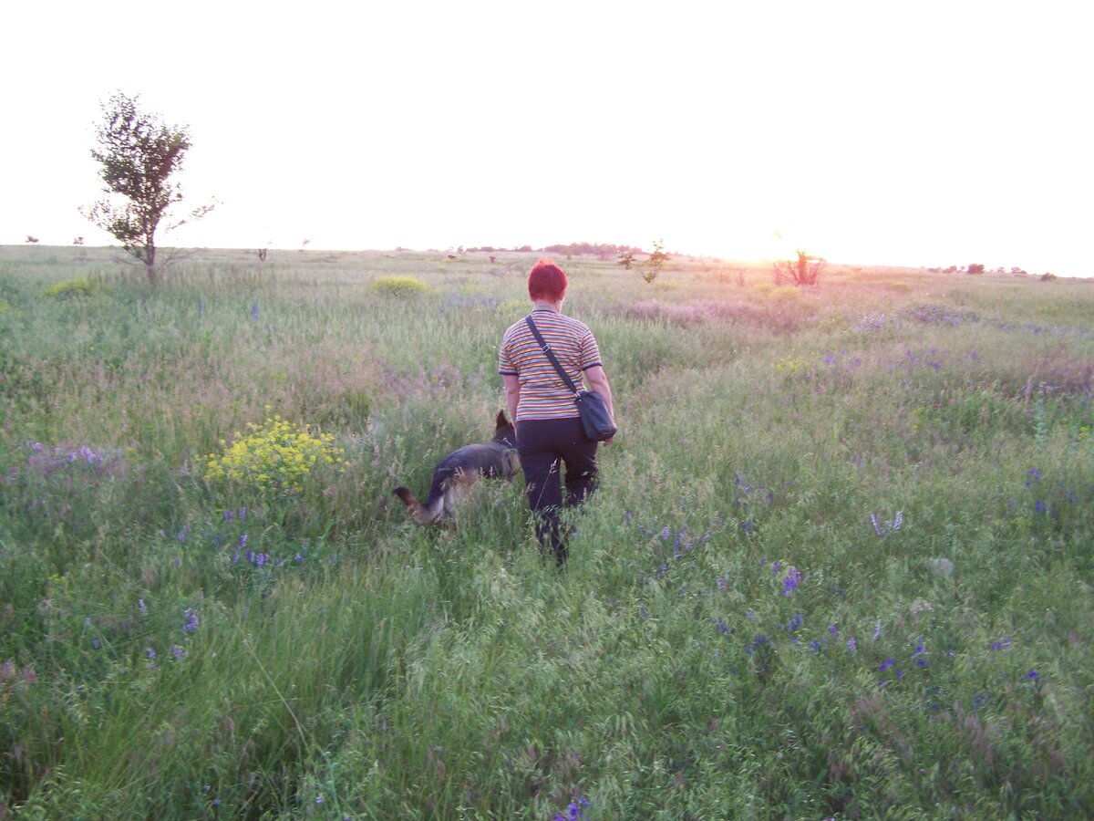 Я с Тигрой. Вот таким было поле, деревьев почти нет